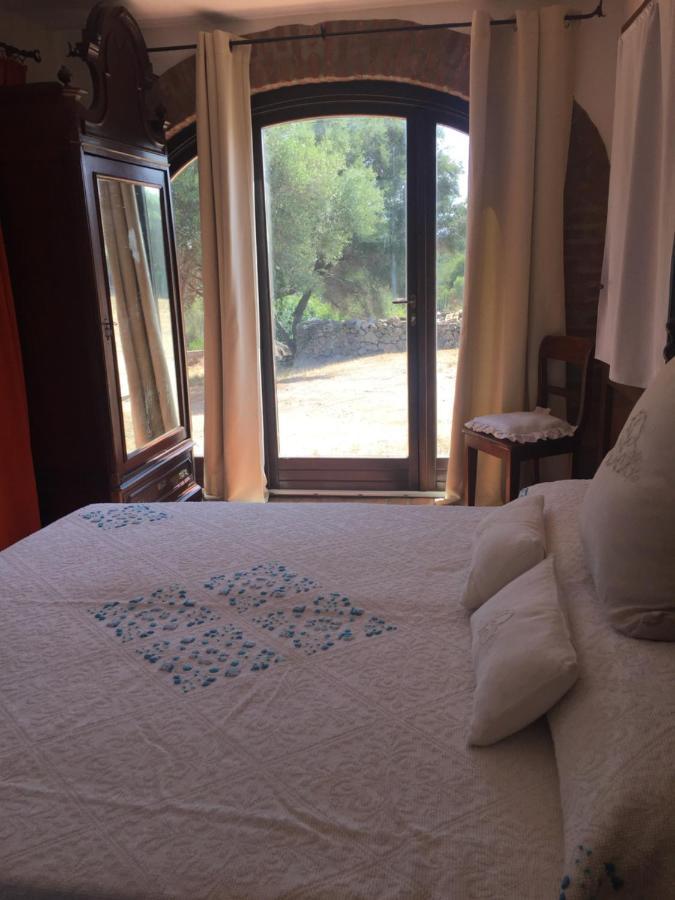 Domo De Enas Bed and Breakfast Εξωτερικό φωτογραφία