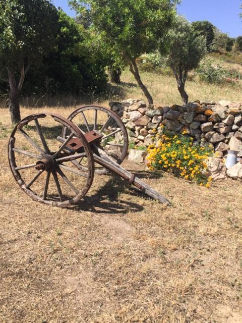 Domo De Enas Bed and Breakfast Εξωτερικό φωτογραφία